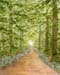 Pathway into the Light